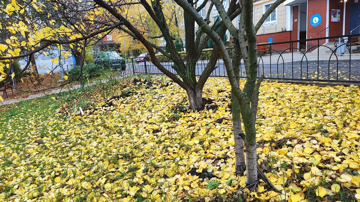 ,,, - Сергей Тимоновский