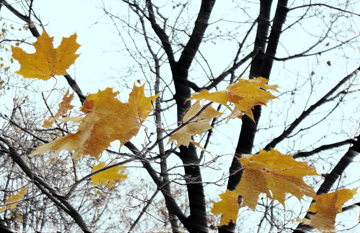 Последние... - Владимир однакО... 