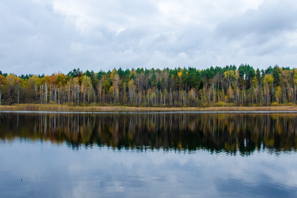 --- - Галина Ложечникова