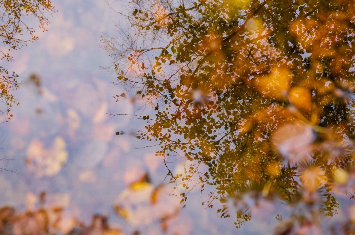 Осеннее отражение - Галина Ложечникова