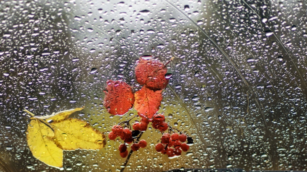 Осень на окне - sorovey Sol