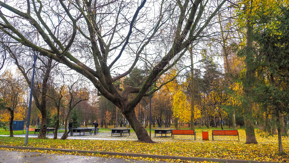 ***** - юрий поляков