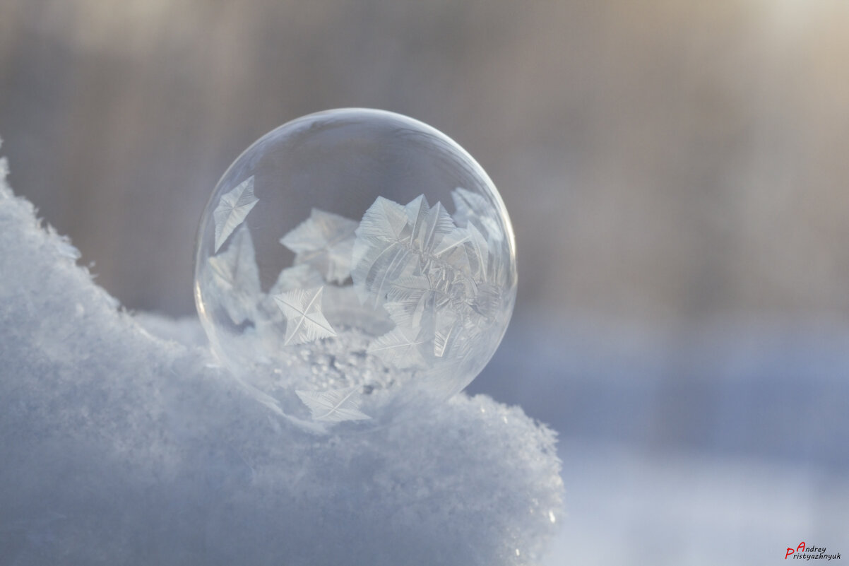 Пузырь - Андрей Пристяжнюк