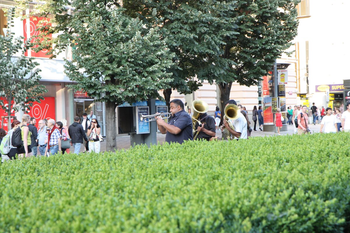 Трубачи - ZNatasha -