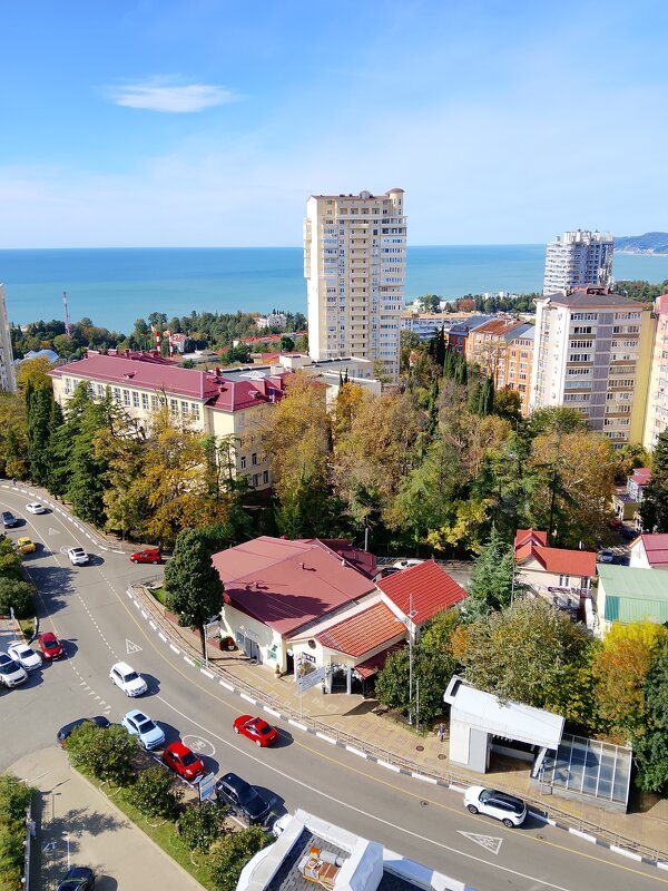 Панорама Сочи с Виноградной горки - Tata Wolf