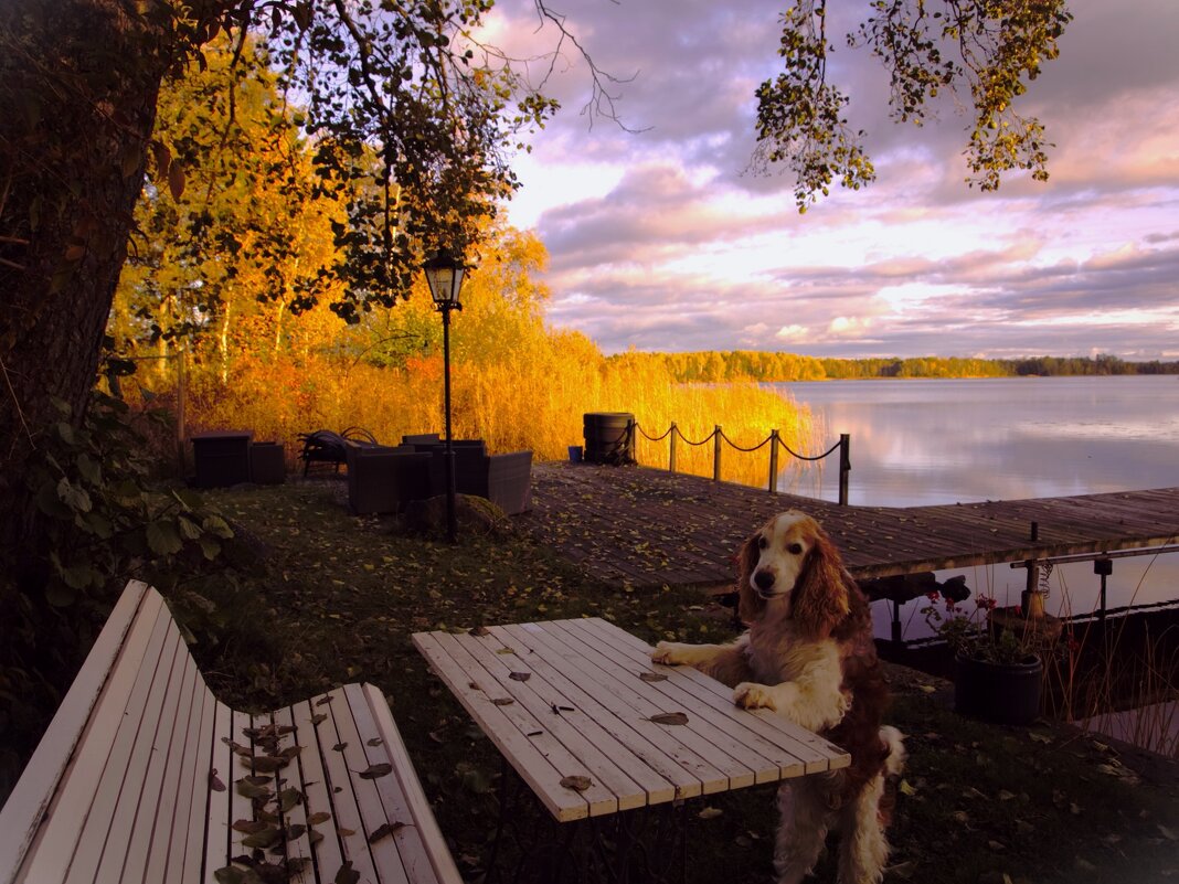 Теперь моя очередь ждать... - liudmila drake