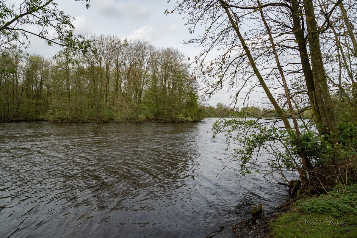 *** - Николай Гирш