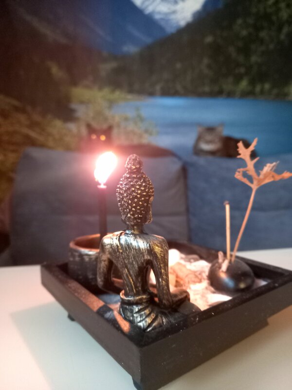 Осенний вечер в пушистой компании. - Наталья Вязигина