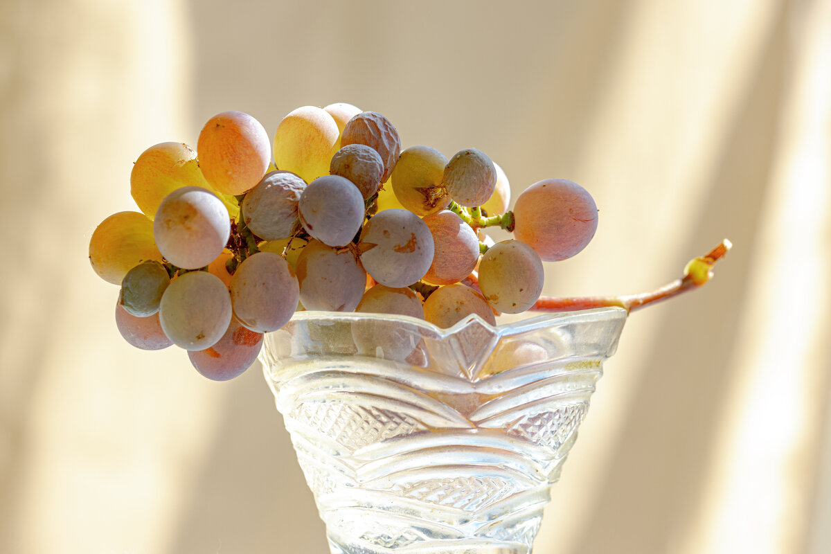 Дары Осени - Валерий Басыров