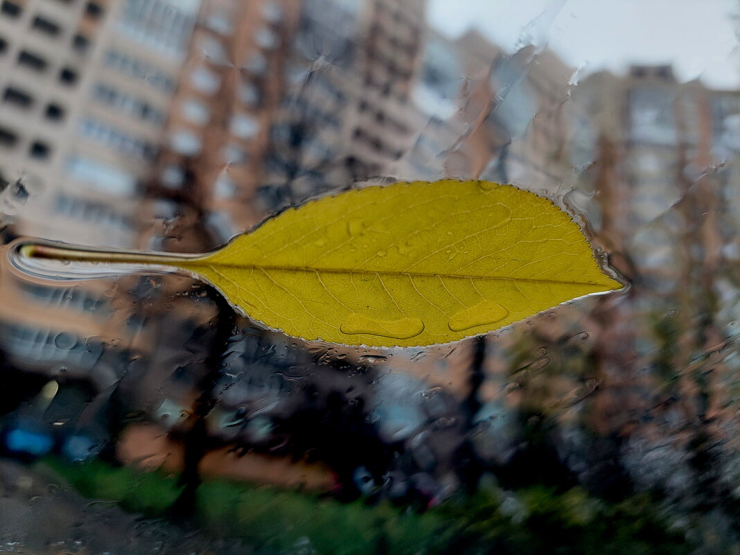 дождь на лобовом стекле - Артём 