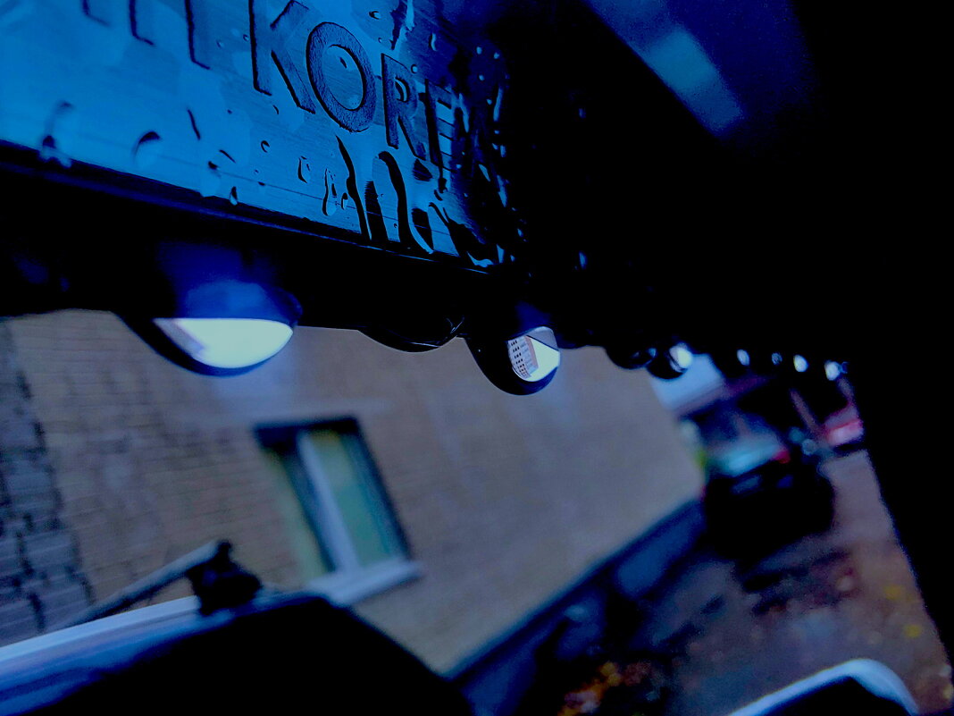 целый человейник в капле на дефлекторе - Артём 