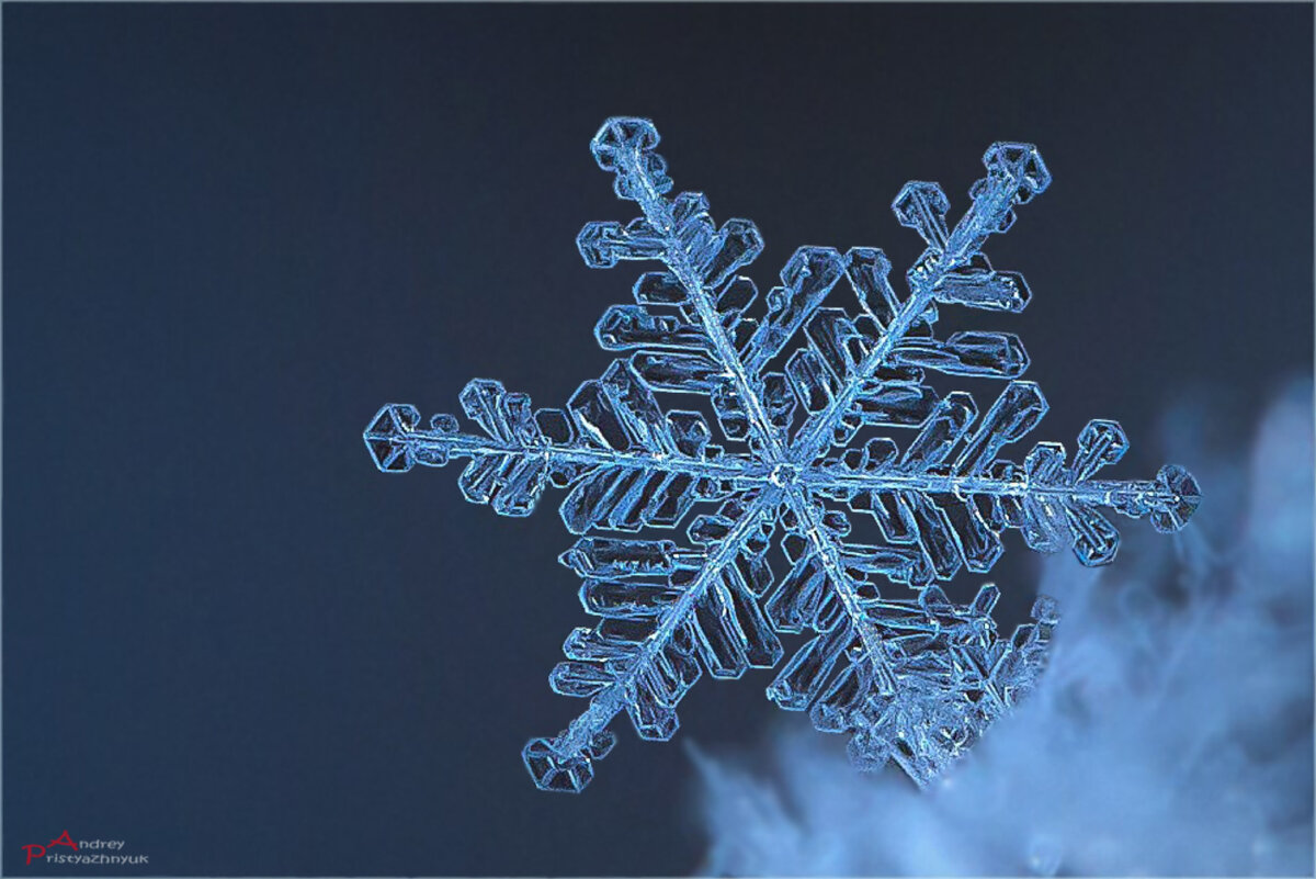 Снежинка - Андрей Пристяжнюк