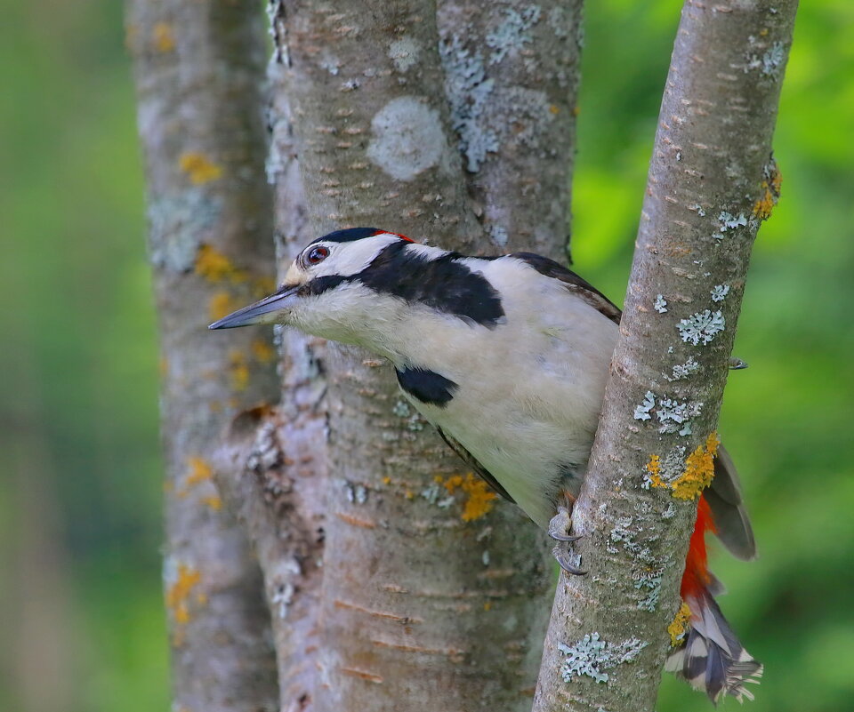 разведка... - Andrey Bragin разведка... - Andrey Bragin