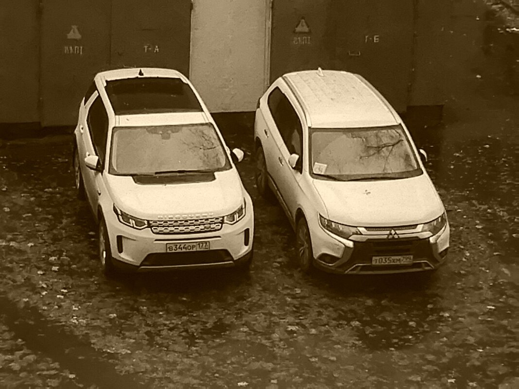 Две белые машины - Дмитрий Никитин