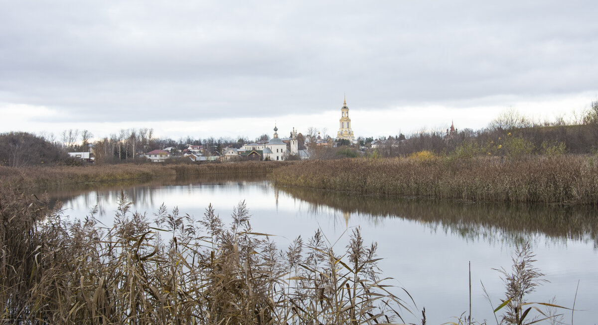 Суздаль поздней осенью. - Михаил Онипенко