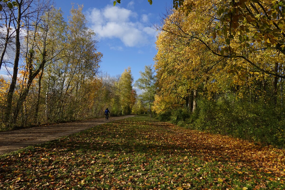 ...— Я ухожу, — сказал Октябрь. — Пора, — шепнул ему Ноябрь,.. - Галина 