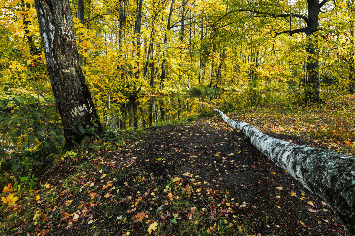 Про Питер - Владимир Колесников