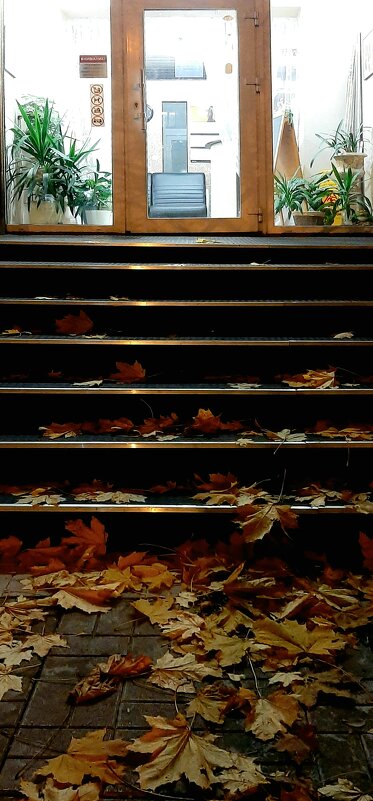 Осенние картинки - Наталья Герасимова Осенние картинки - Наталья Герасимова