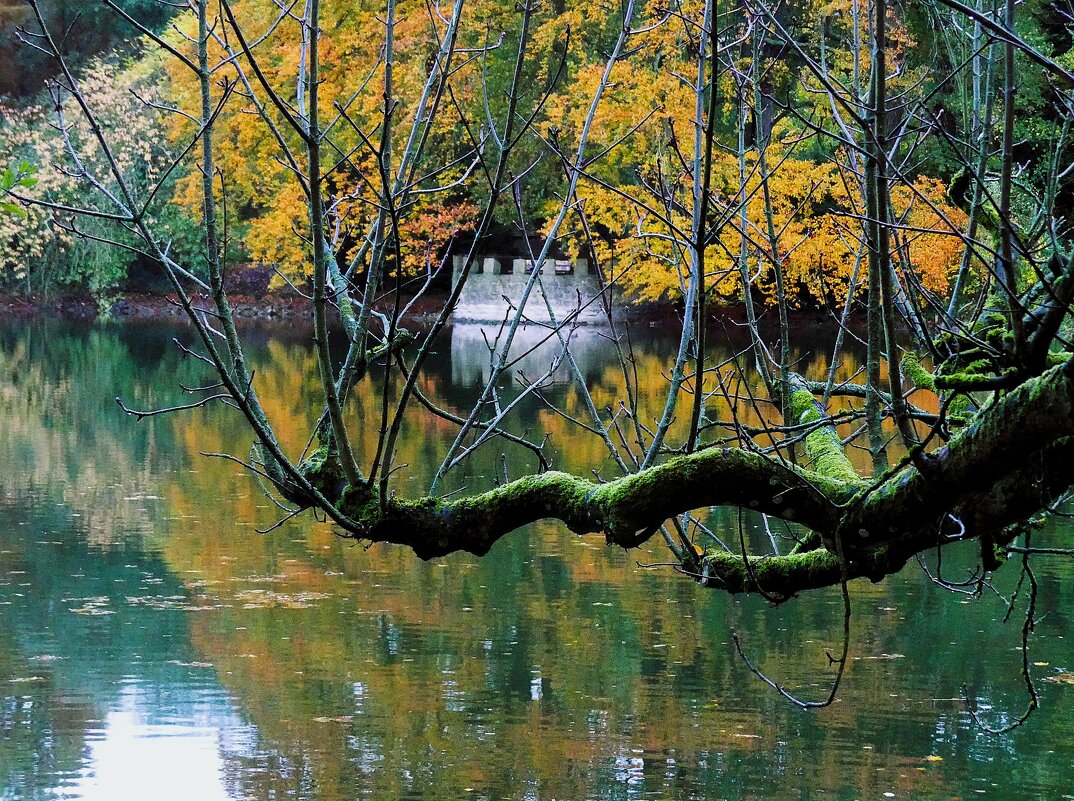 Осень в кадре(серия) - Владимир Манкер