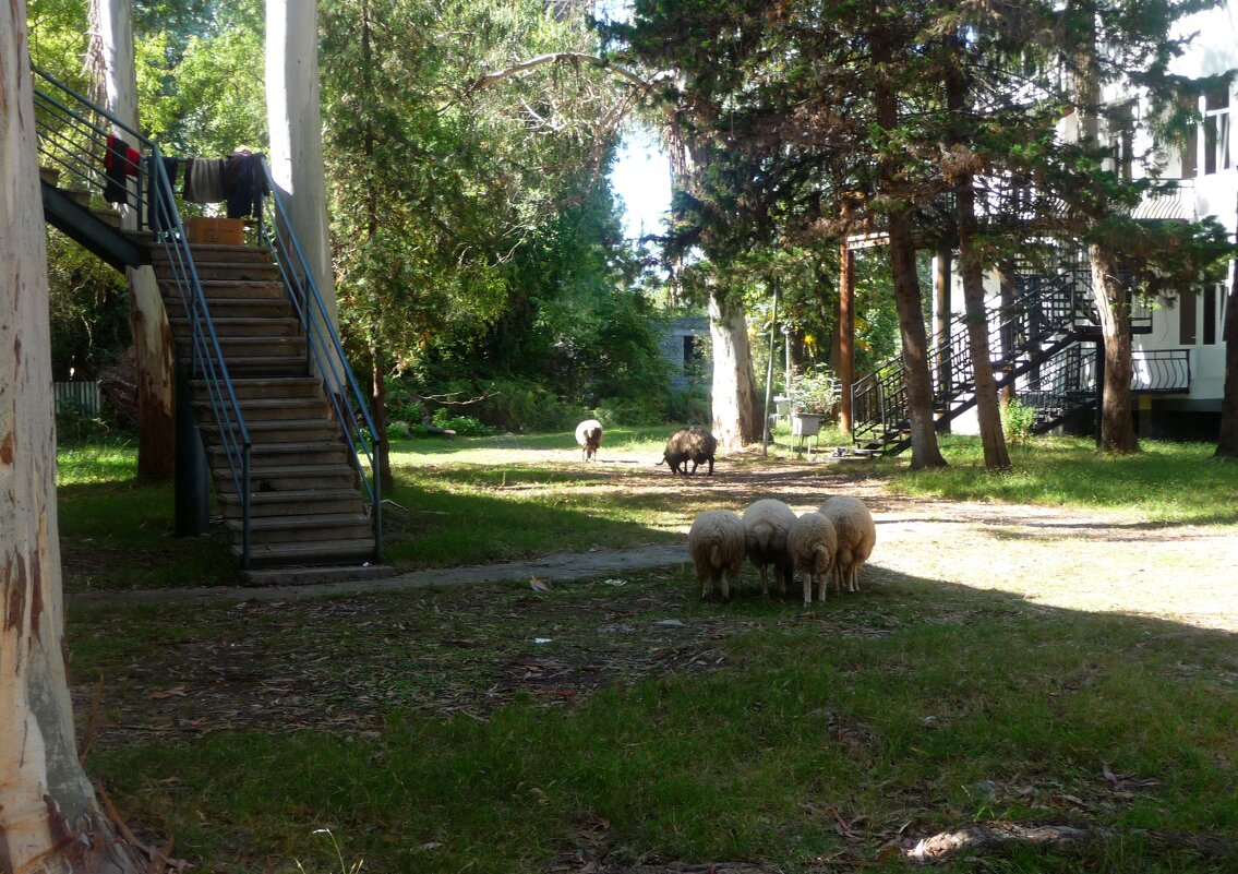 Абхазия - Андрей Л. В. Абхазия - Андрей Л. В.