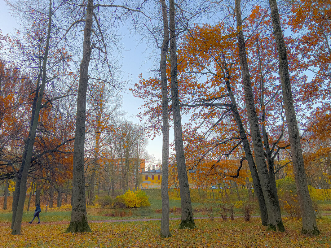 Парк Новознаменка - Алексей Чуркин