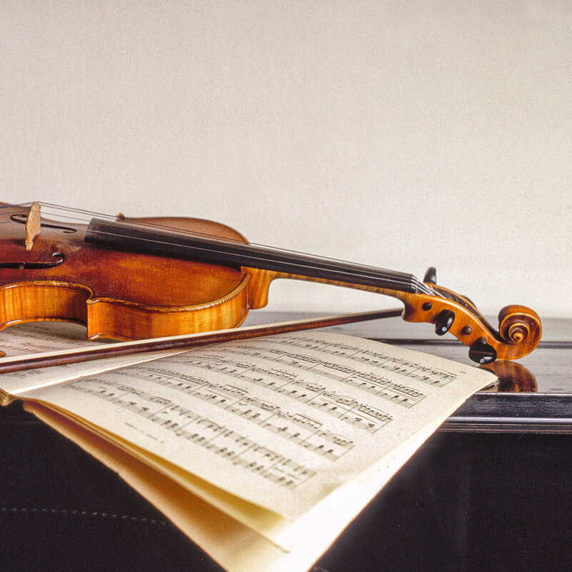 Виола. - Svyatoslav [Artisan] Ph.