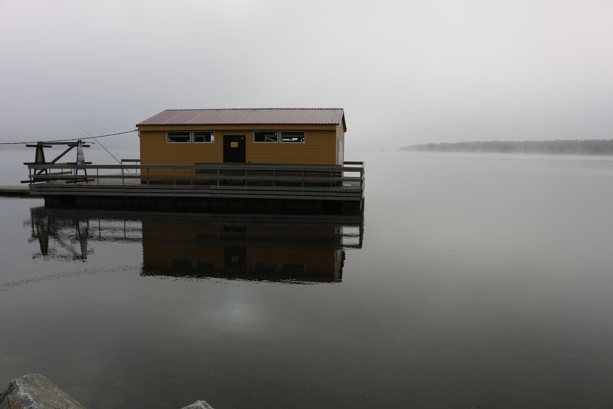 В осеннем тумане - Ольга 