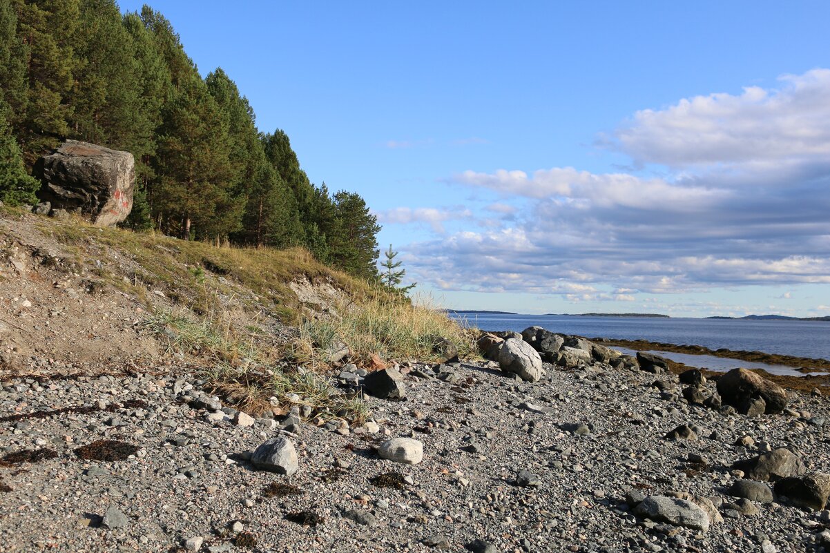 Осенняя литораль - Ольга 