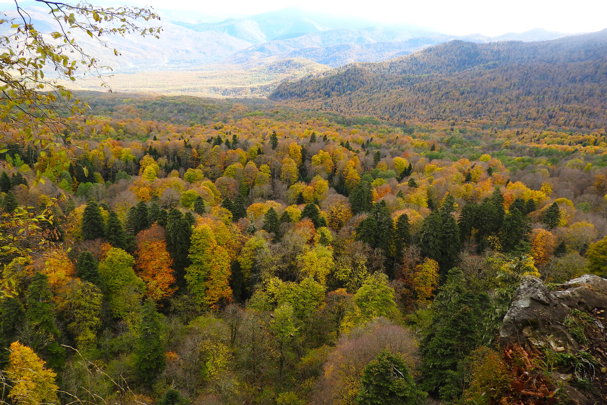 ** - Юрий Словецкий