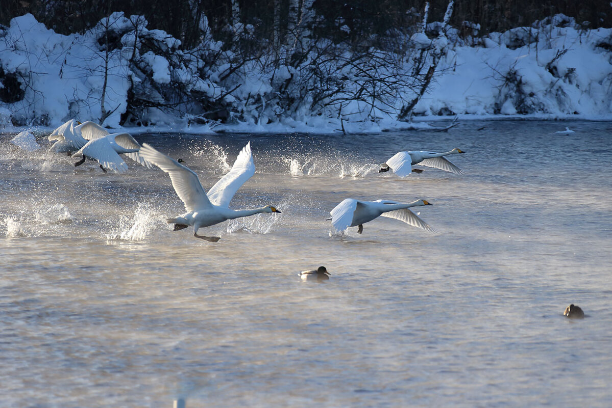 На взлёт... - владимир 