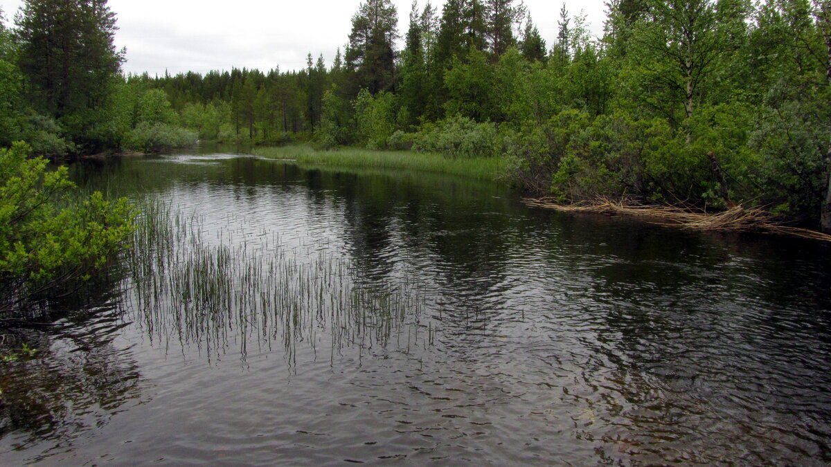 Речка  Сейто. - Галина Полина