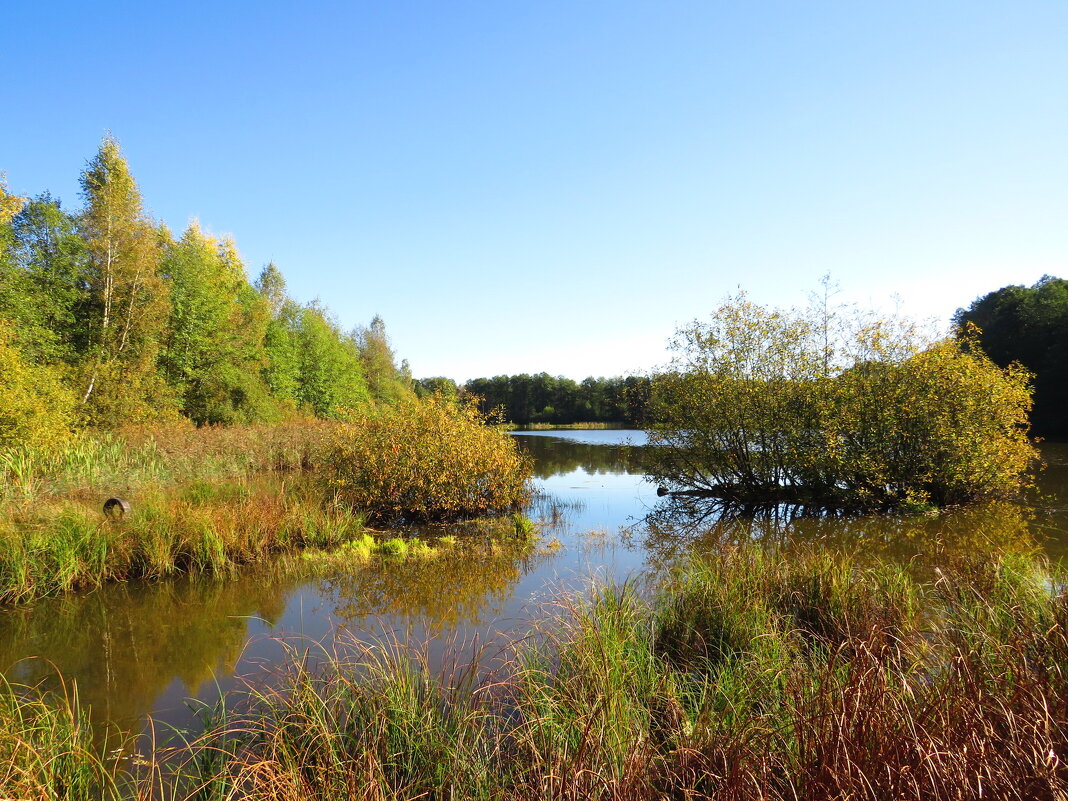Переход их лета в осень - Андрей Снегерёв