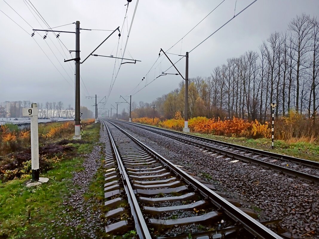 Погода шепчет... - Лия ☼