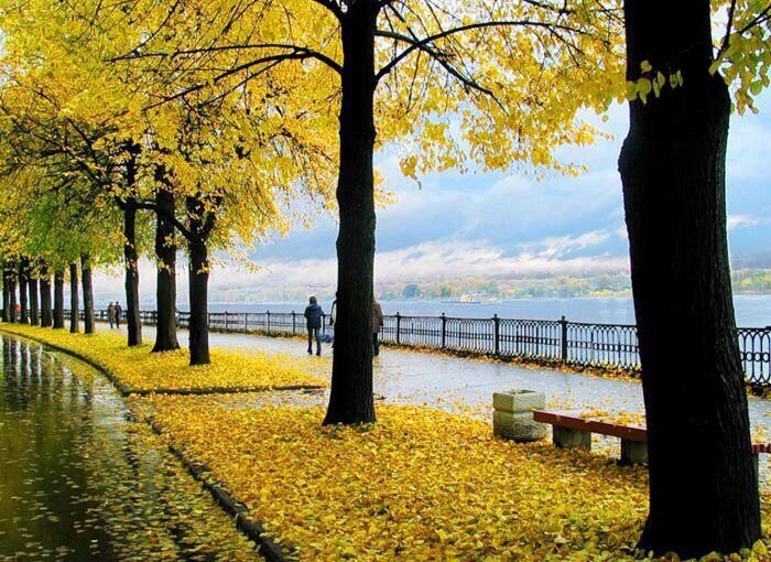 Осень. - Михаил Свиденцов