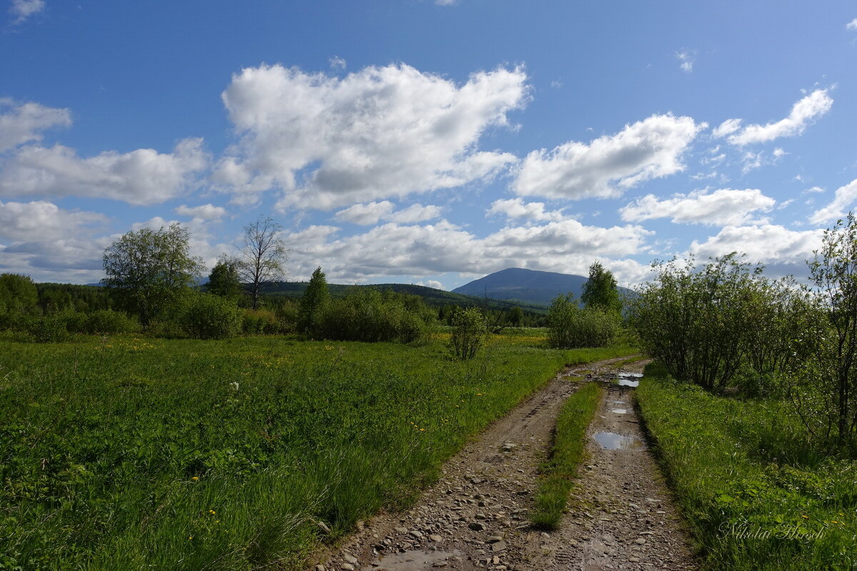 По дороге... - Николай Гирш