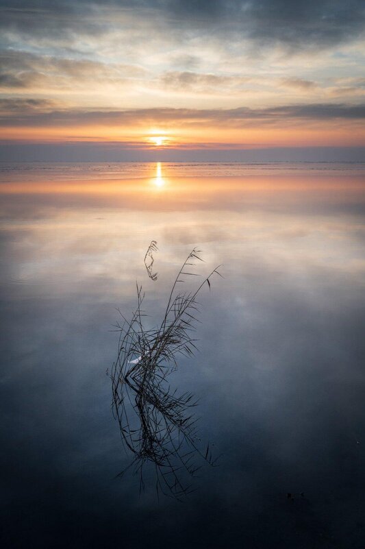 Холодный рассвет - Ирина 