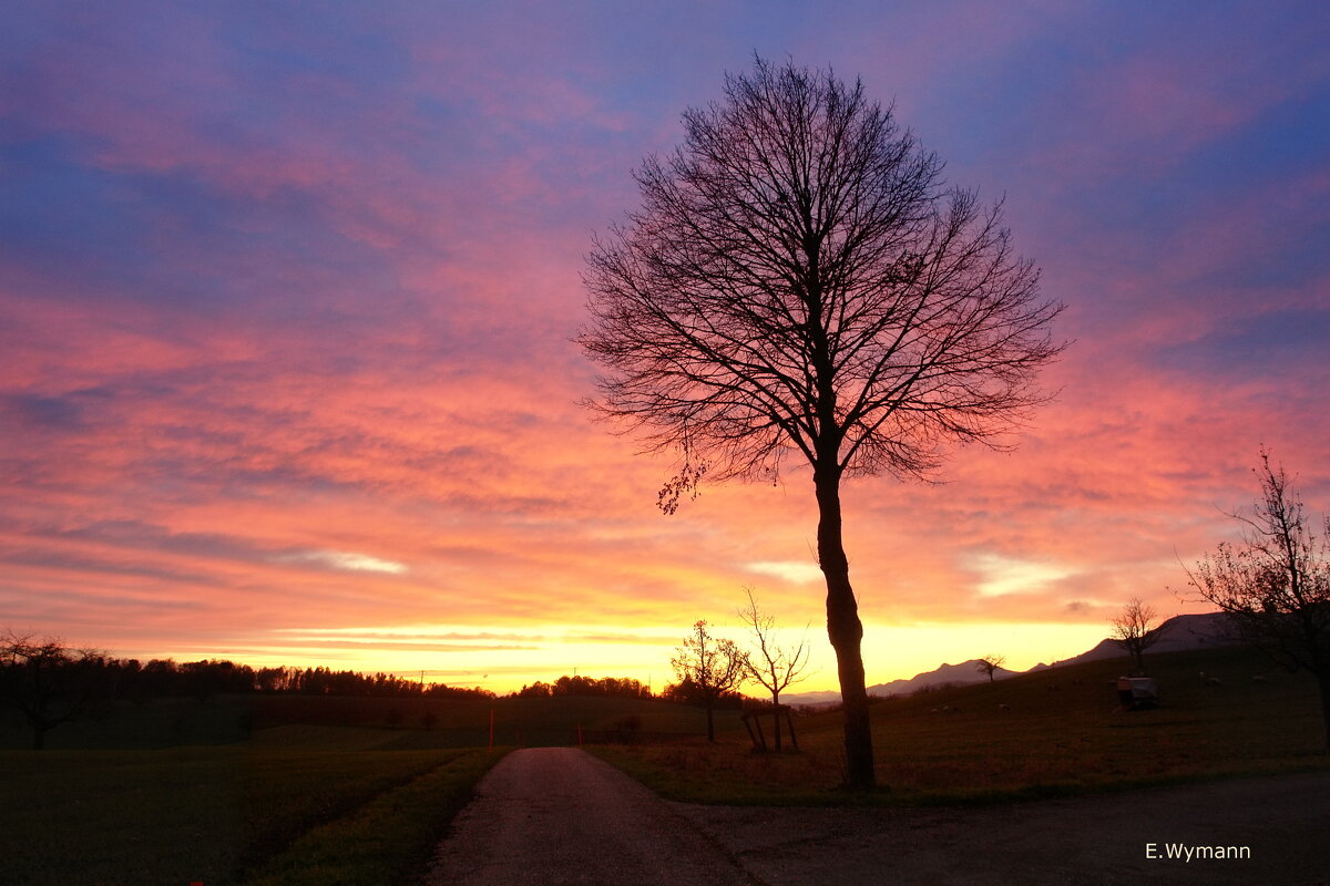 sunset - Elena Wymann