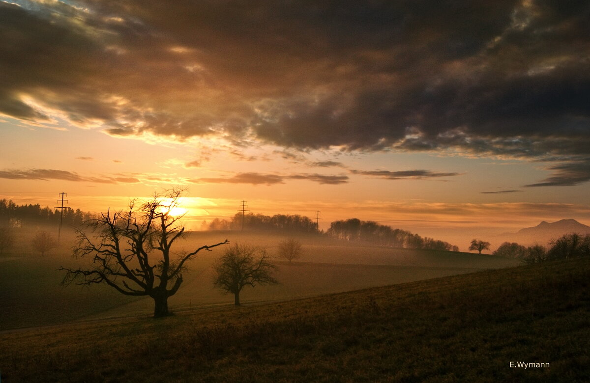 sunset - Elena Wymann