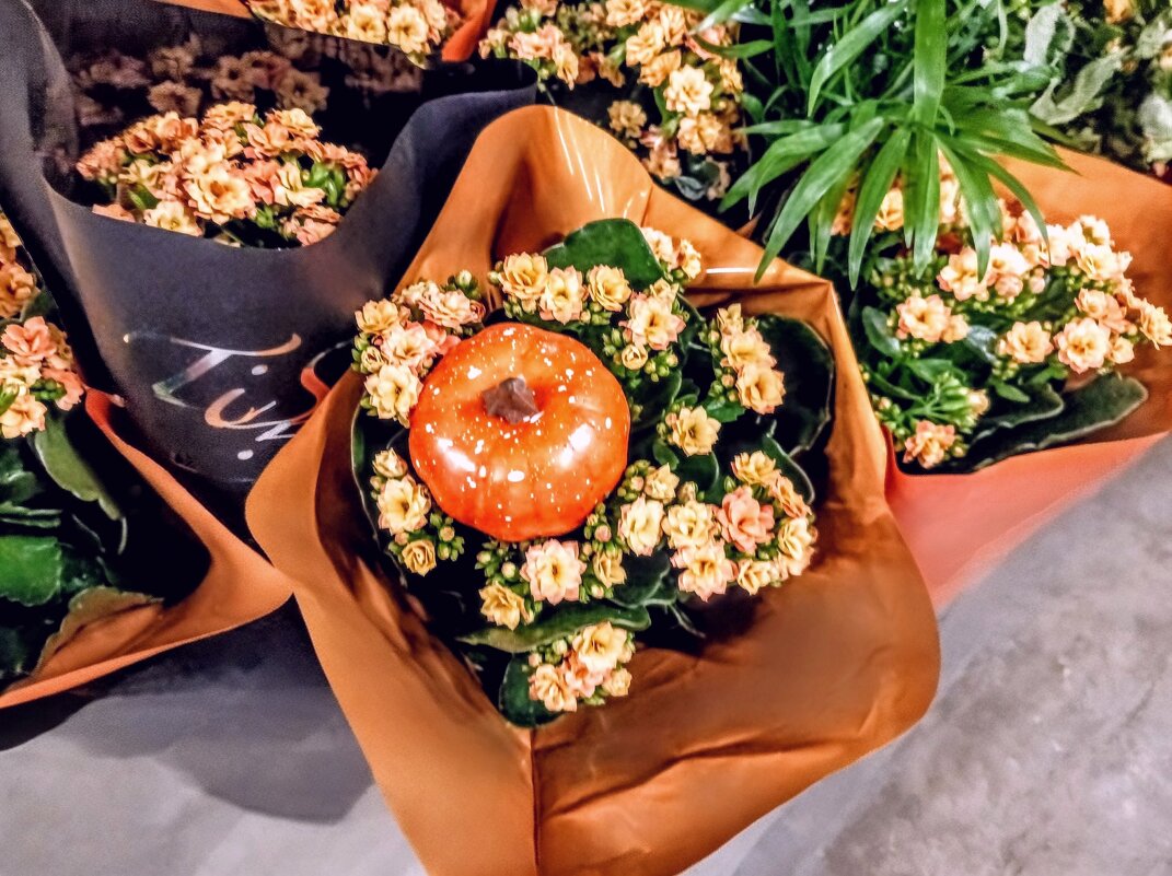 Букетик на Хэллоуин ) - Veera V