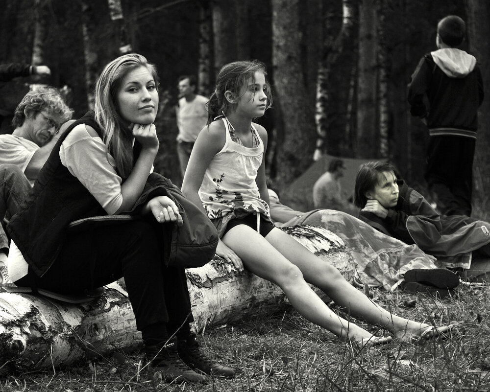 Лесные зрители - СЮ 