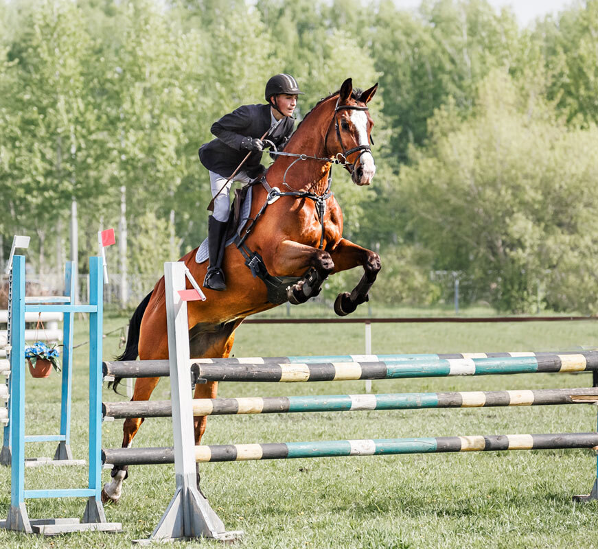 Конкур - SanSan 