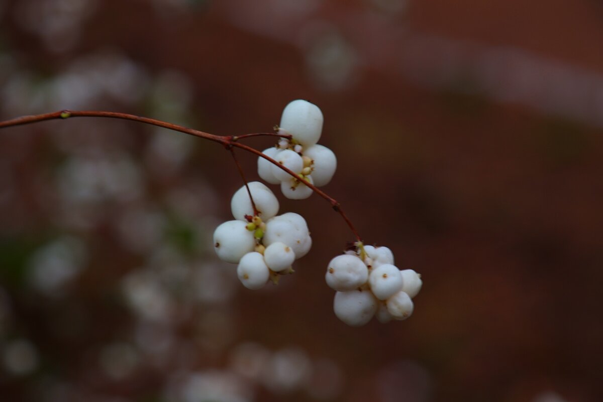 ... - Владимир иванов