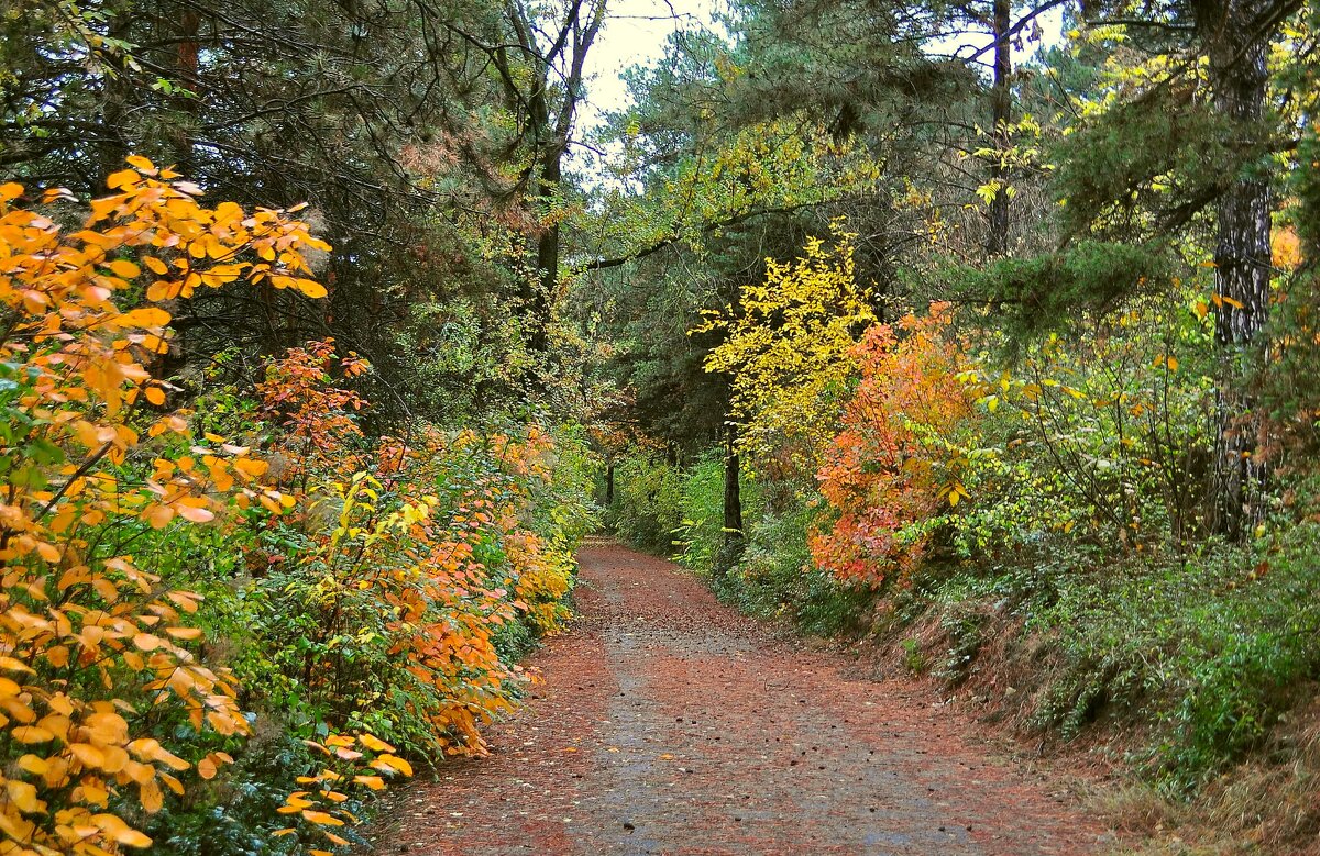 Осень золотая. - Vladimir Lisunov