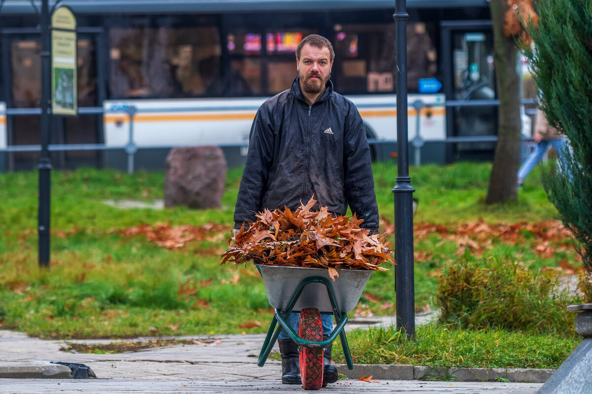 Целая тачка осени. - Анатолий. Chesnavik.