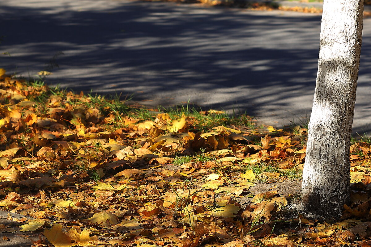 Осень - Юрий Гайворонскiий