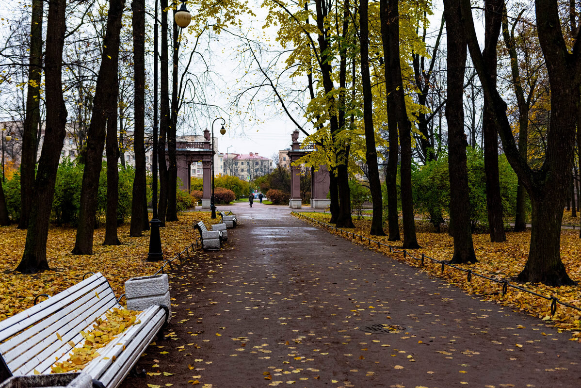 аллея - Дмитрий Лупандин