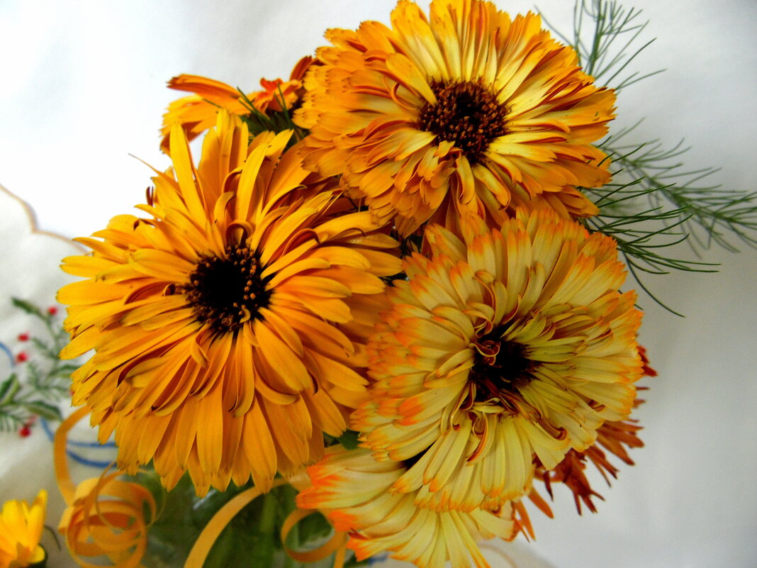 Календулы цветы. - nadyasilyuk Вознюк