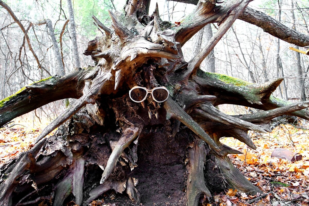 Про чудища лесные...:-) - Андрей Заломленков