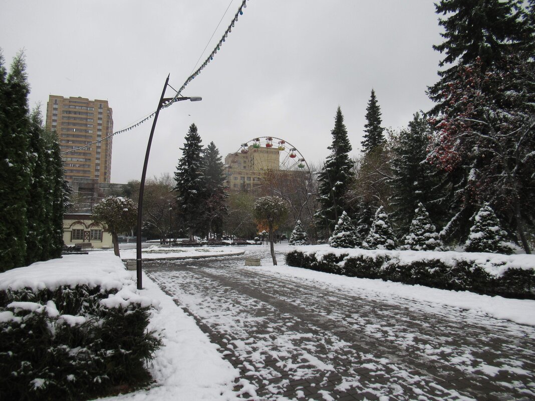 Вид на Колесо - Андрей Макурин