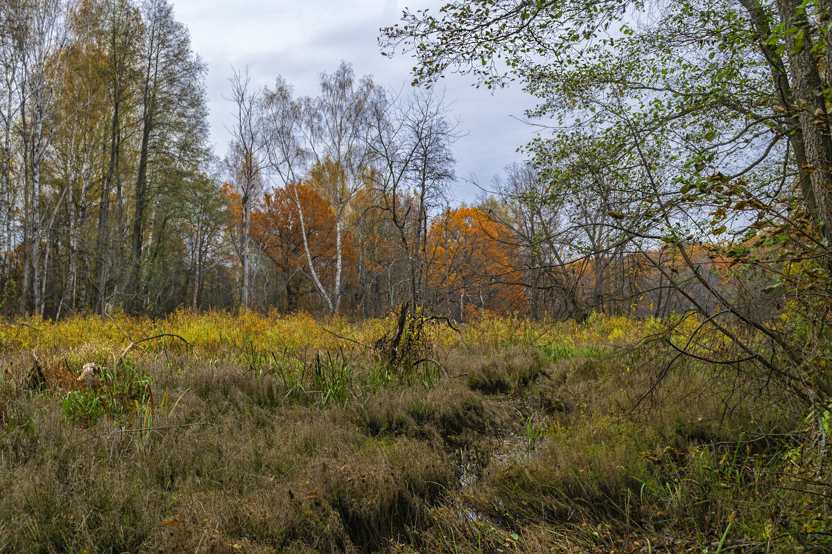 Про осень - Сергей Цветков